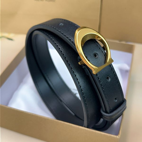 luxury belt Fashion designer belt brand belts gold silver buckle cintura belts for women designer cinture width 2.5cm with box gift high quality 2025 - Fashion Accessories - jerseydock